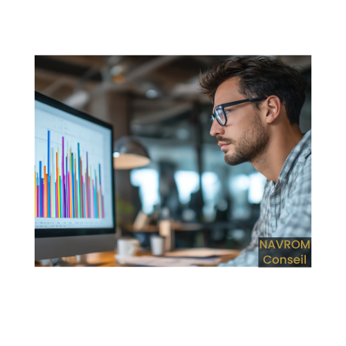 Business Analyste